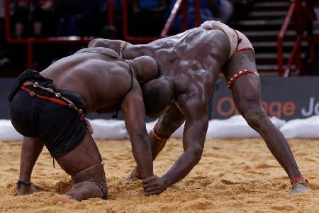 Reprise des combats de lutte : les conditions posées par la ministre des Sports