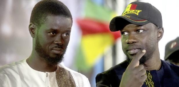 Moussa TINE met en garde contre les conséquences d’un divorce entre SONKO et Diomaye